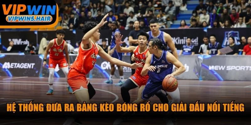 Hệ thống đưa ra bảng kèo bóng rổ cho những giải đấu nổi tiếng