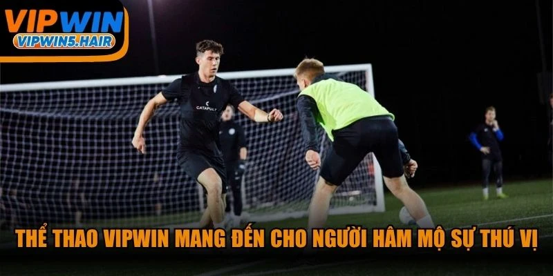 Thể thao VIPWIN mang đến cho đông đảo người hâm mộ sự thú vị